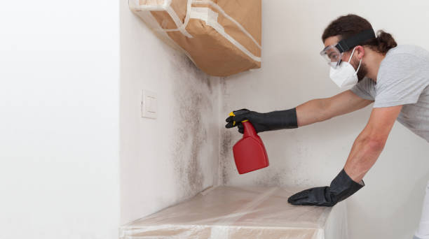 Professional Mold Remediation technician working in Trenton, FL