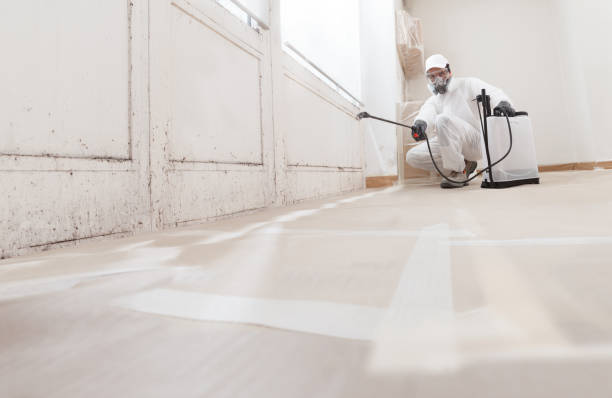 24/7 Emergency Mold Remediation experts in Trenton, FL